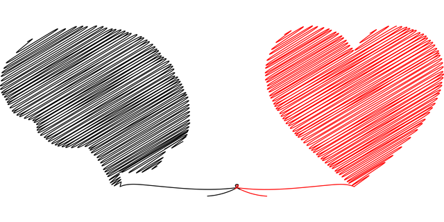cerebro y corazon unidos por un hilo